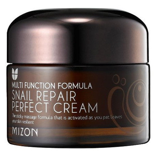 Mizon veido kremas su sraigių sekreto filtratu 60 % probleminei odai (Snail Repair Perfect Cream) 50 ml