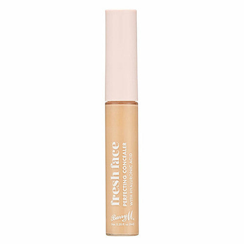 Barry M Fresh Face Perfecting Concealer 7 g