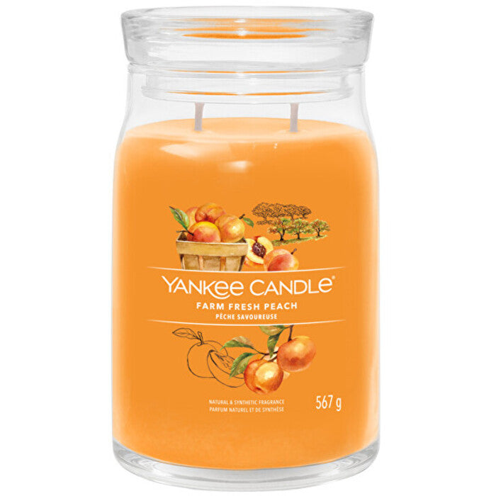 Yankee Candle „Farm Fresh Peach“ firminė žvakė (šviežio persiko)