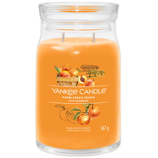 Yankee Candle „Farm Fresh Peach“ firminė žvakė (šviežio persiko)