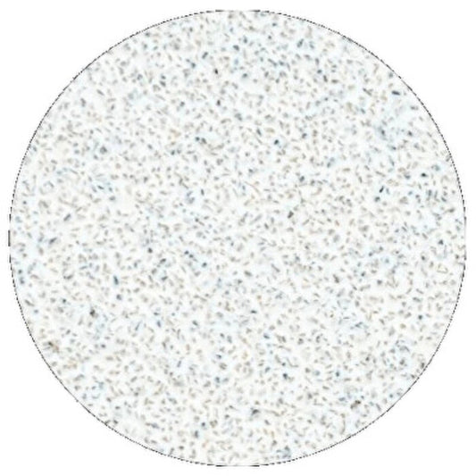 „Staleks Pro L Grit 80“ balti pedikiūro disko papildymo pagalvėlės - pedikiūro disko pakaitinis švitrinis popierius, 50 vnt.