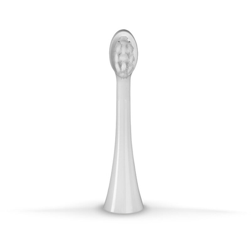 Concept ZK6010, ZK6020 Medium ZK0062 - Atsarginė galvutė vaikiškiems dantų šepetėliams ( 2 vnt )