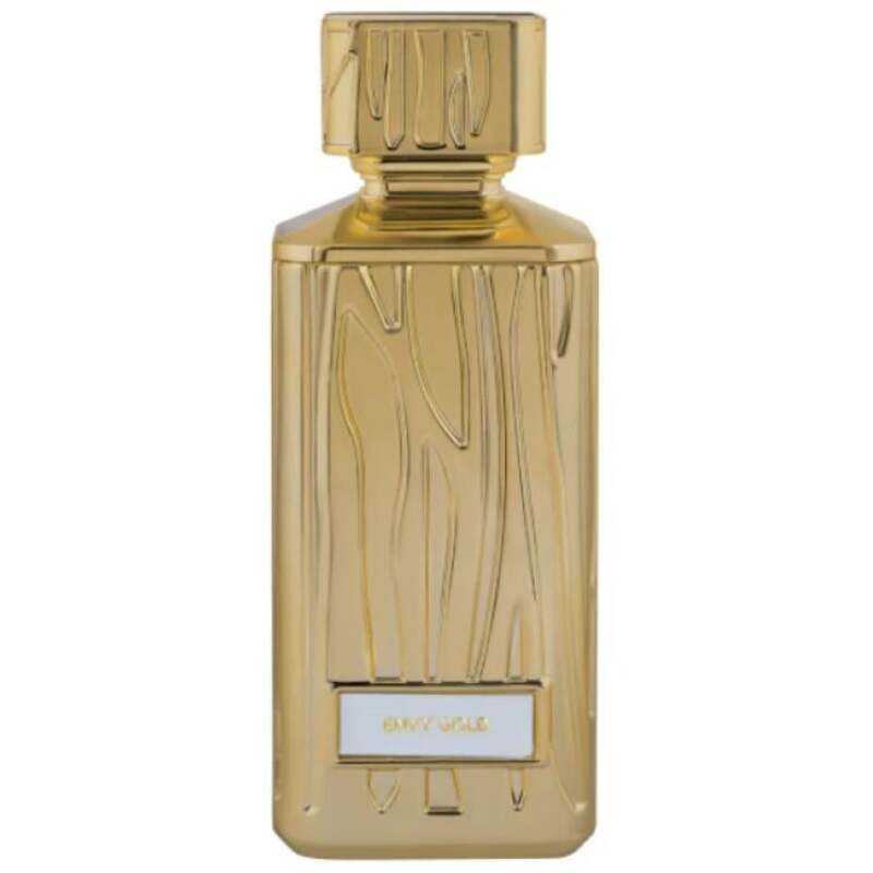 Hamidi Envy Gold EDP